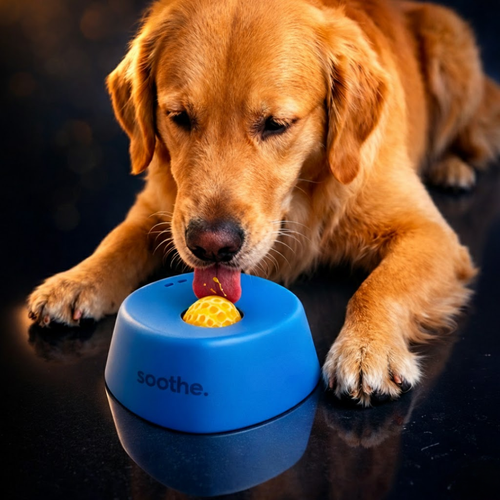 Soothe™ Slow Feeder Dog Bowls