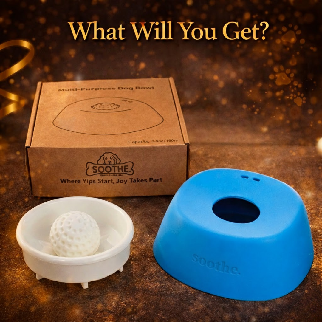 Soothe™ Slow Feeder Dog Bowls